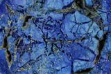 Vivid Blue, Cut & Polished Azurite Nodule - Siberia #190170-1